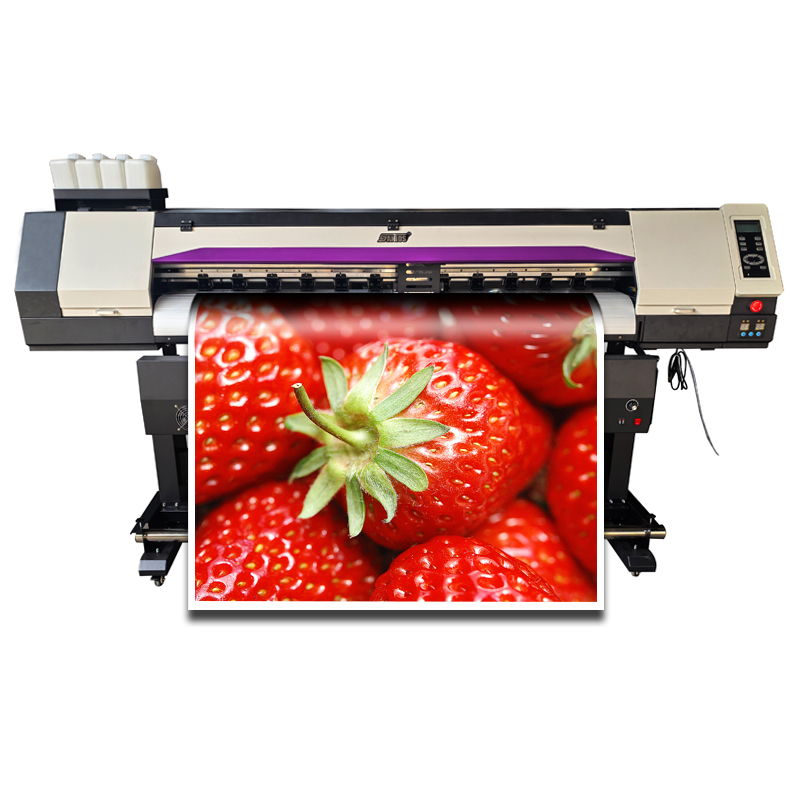 Factory Dx5 Xp600 1.8M Large F - Commercial Wallpaper Printing reseña y precio